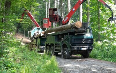 Starker Einsatz für den Waldschutz: Seit Juni ist eine Holzentrindungsmaschine in den Wäldern des Rhein-Neckar-Kreises im Einsatz