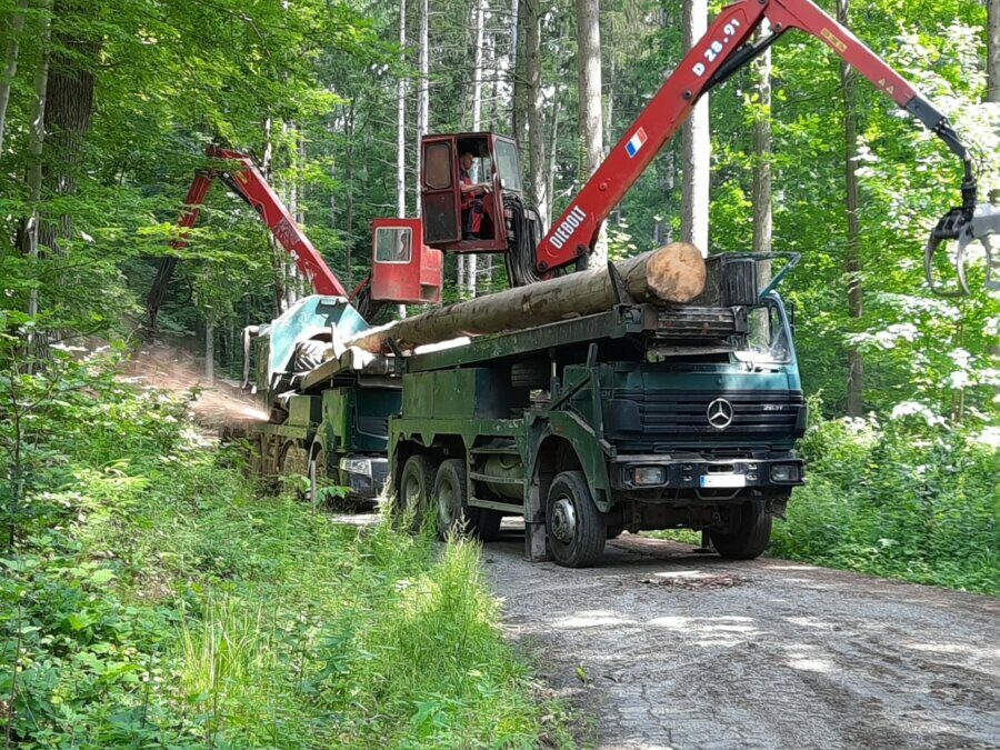 Starker Einsatz für den Waldschutz: Seit Juni ist eine Holzentrindungsmaschine in den Wäldern des Rhein-Neckar-Kreises im Einsatz