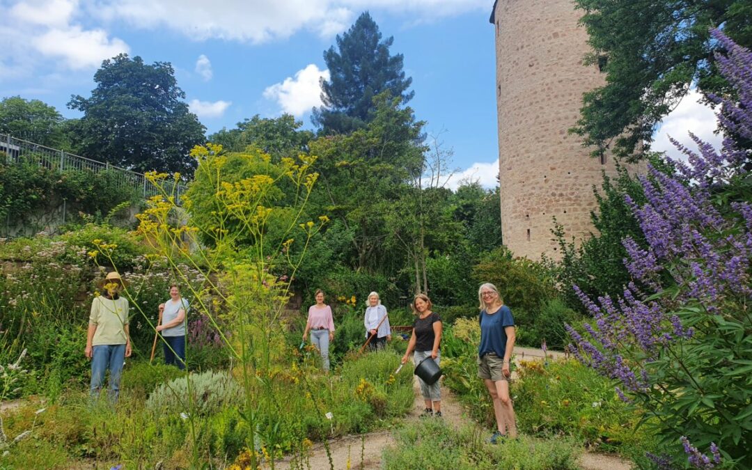 Der Mittwoch gehört dem Garten