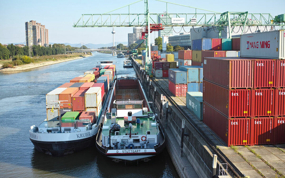 Der Mannheimer Hafen, Hanf früher und CBD Öl heute