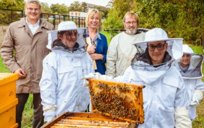 Eine Million neue Mitarbeitende für die Sparkasse – 12 400 Euro für Bienenzucht im BUGA-Projekt „Hektar für Nektar“