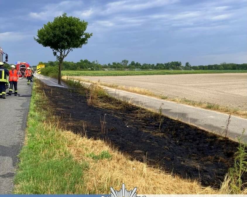 Schifferstadt – Feuerwehr kann Flächenbrand schnell unter Kontrolle bringen