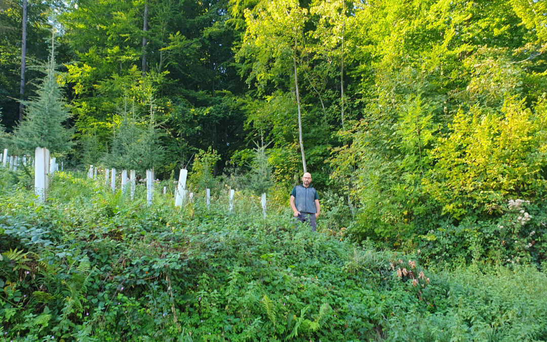 Erweiterung des Exotenwaldes Weinheim