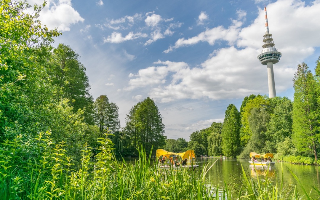 Der Mannheimer Luisenpark erstrahlt im Herbstlook