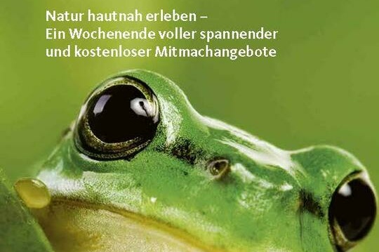 Tag der Artenvielfalt 2024: Natur in Mannheim entdecken