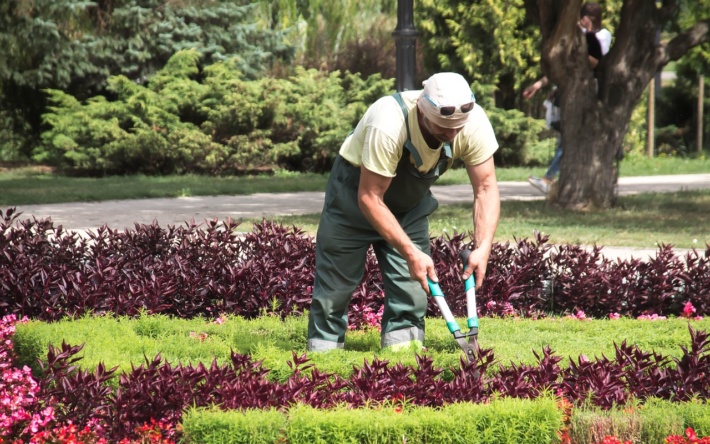 Effektive Gartenbewässerung – was Hobbygärtner wissen sollten