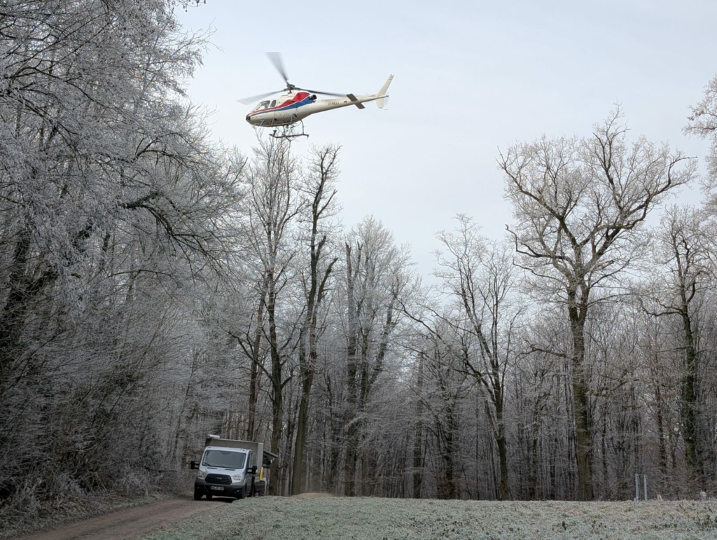 Bodenschutzkalkung in den Wäldern