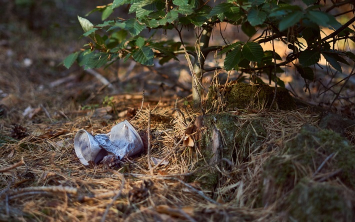 Frühjahrsputz im Waldpark – Es geht wieder los!