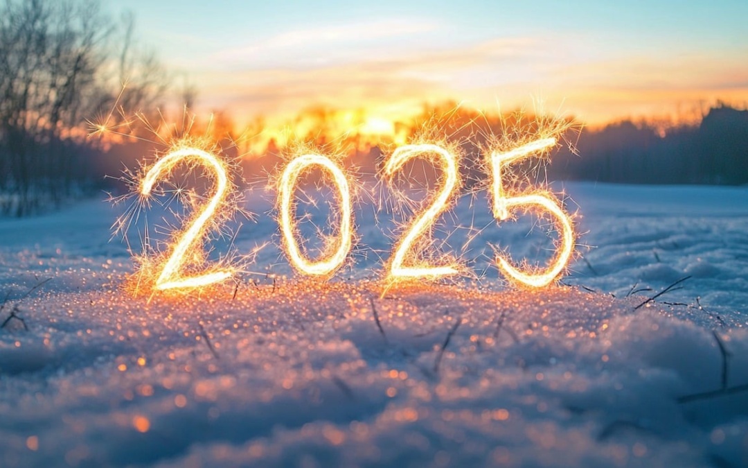 Was ändert sich 2025? Neue Gesetze und Verordnungen im Überblick